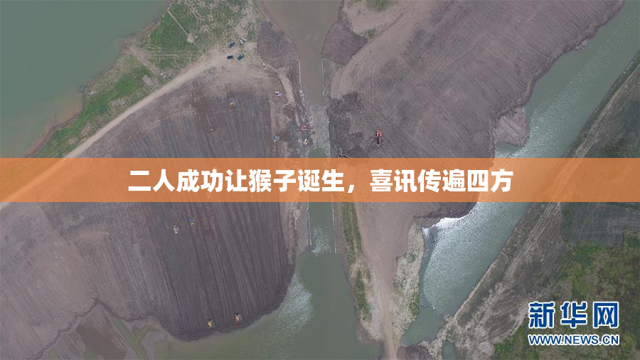 二人成功让猴子诞生，喜讯传遍四方