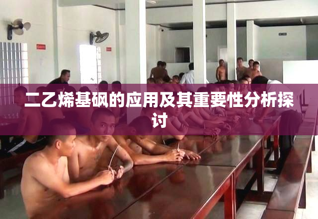 二乙烯基砜的应用及其重要性分析探讨