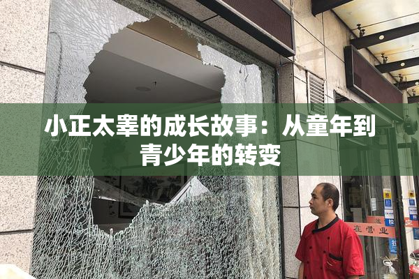 小正太睾的成长故事：从童年到青少年的转变