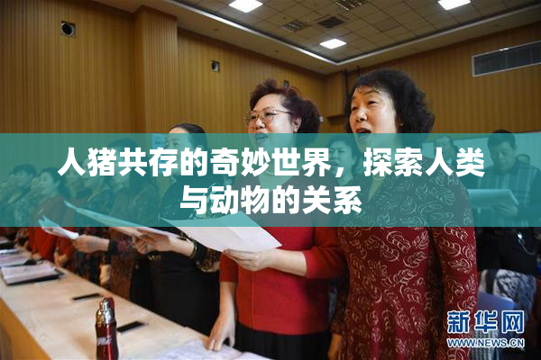 人猪共存的奇妙世界，探索人类与动物的关系