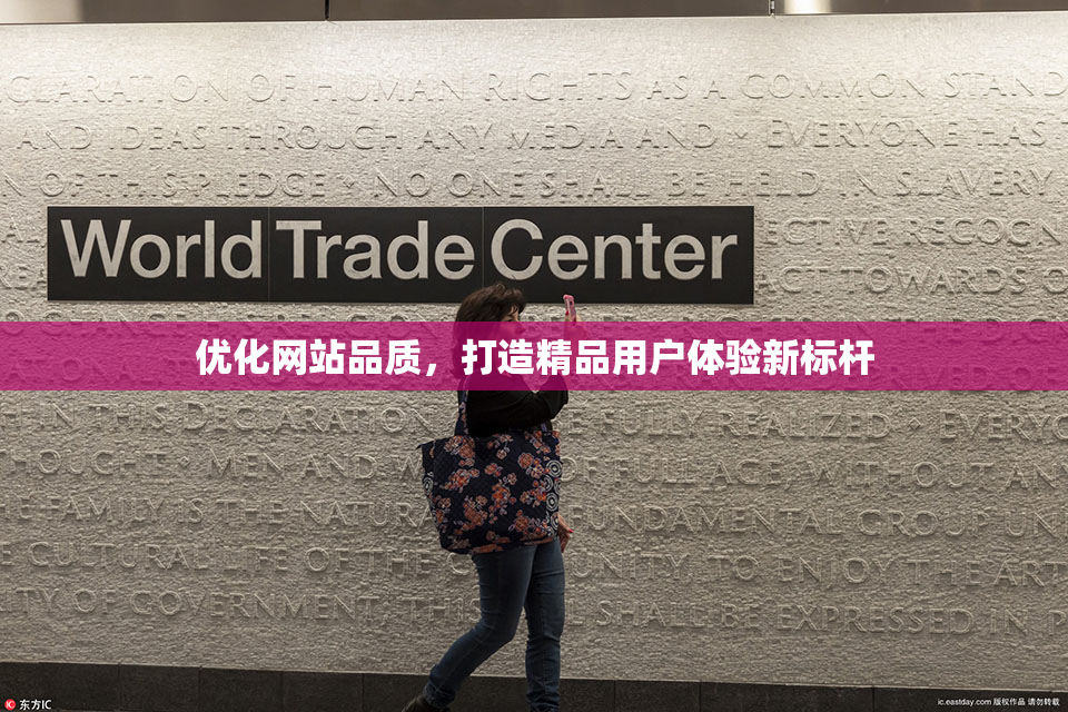 优化网站品质，打造精品用户体验新标杆