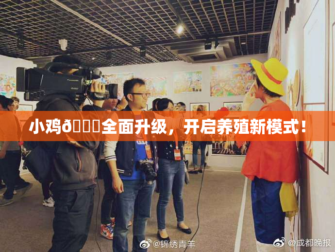 小鸡🐔全面升级，开启养殖新模式！