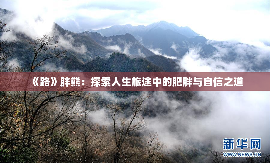 《路》胖熊：探索人生旅途中的肥胖与自信之道
