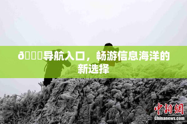 🍓导航入口，畅游信息海洋的新选择