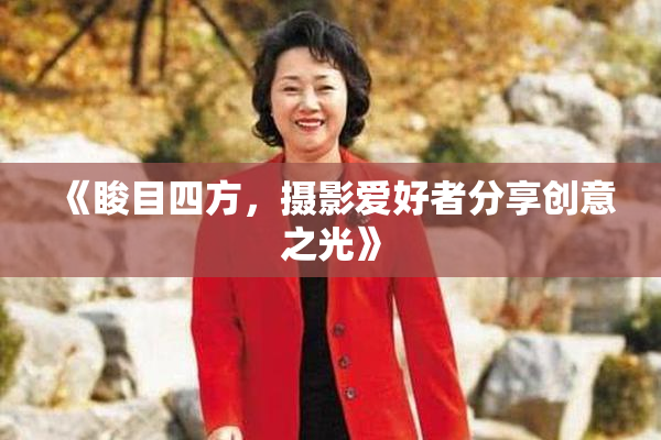 《睃目四方，摄影爱好者分享创意之光》