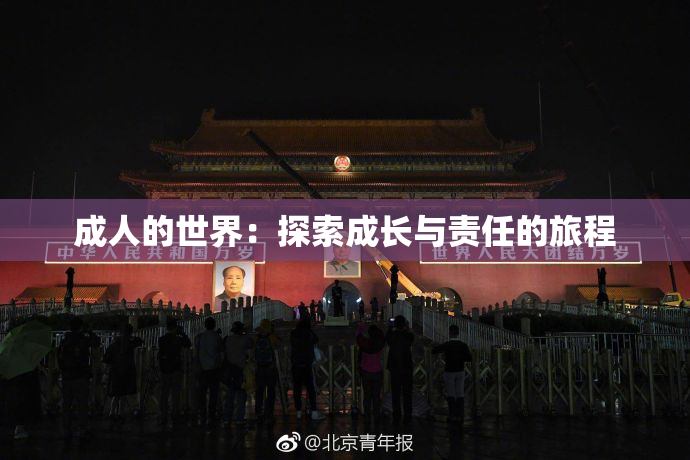 成人的世界：探索成长与责任的旅程