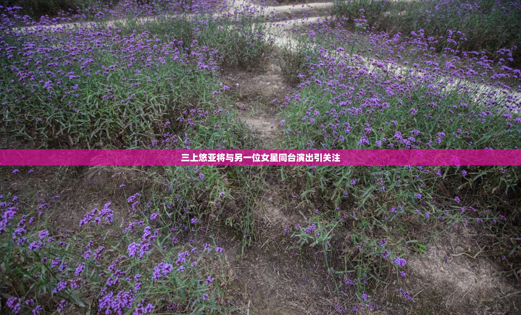 三上悠亚将与另一位女星同台演出引关注