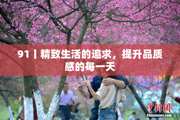 91丨精致生活的追求，提升品质感的每一天