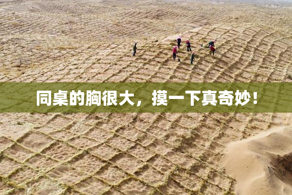 同桌的胸很大，摸一下真奇妙！