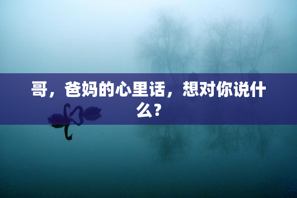 哥，爸妈的心里话，想对你说什么？