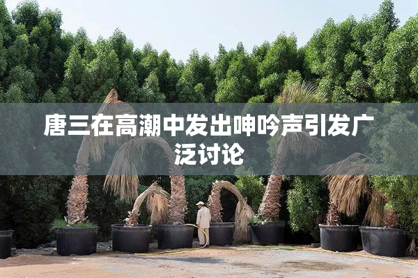 唐三在高潮中发出呻吟声引发广泛讨论