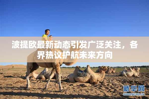 波提欧最新动态引发广泛关注，各界热议护航未来方向