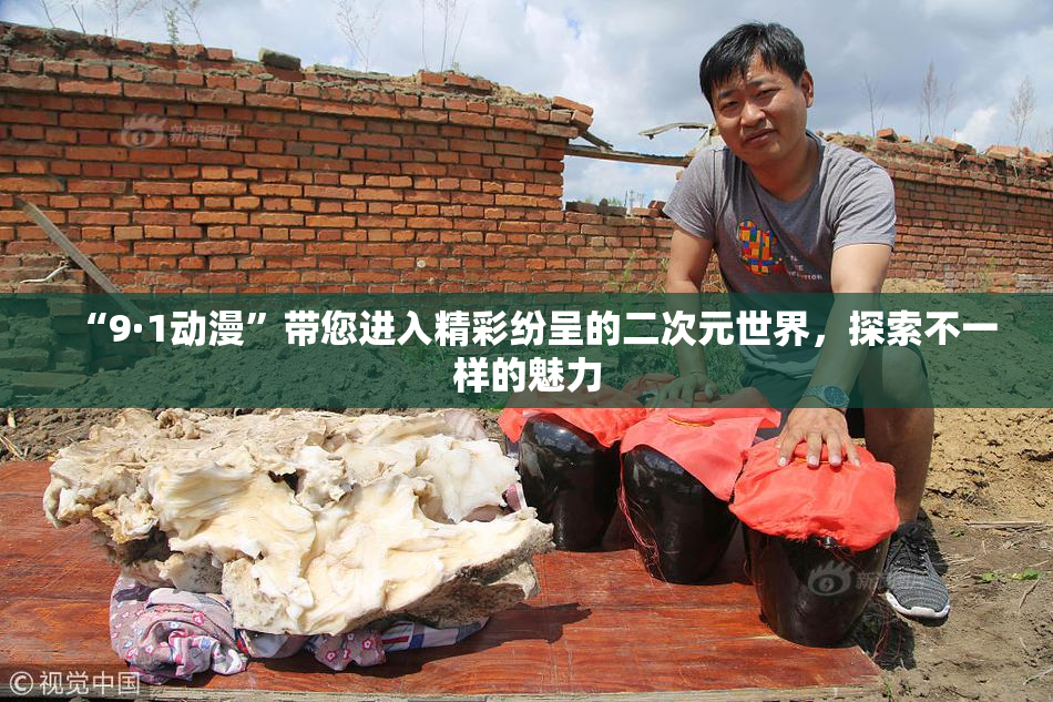 “9·1动漫”带您进入精彩纷呈的二次元世界，探索不一样的魅力