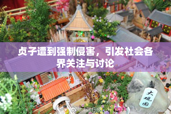 贞子遭到强制侵害，引发社会各界关注与讨论