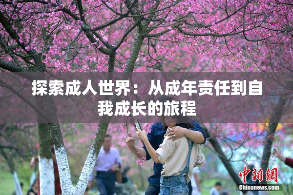 探索成人世界：从成年责任到自我成长的旅程