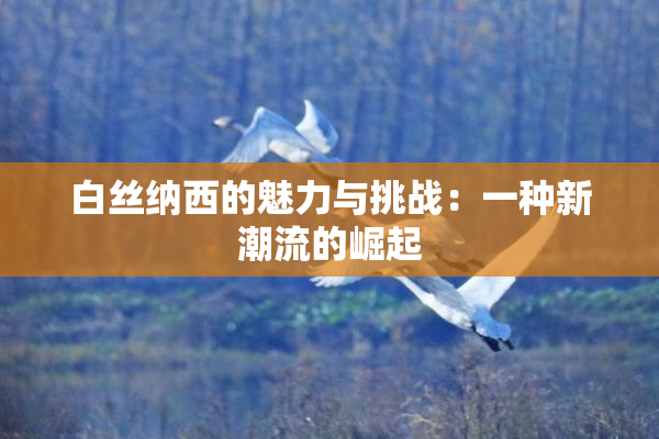 白丝纳西的魅力与挑战：一种新潮流的崛起
