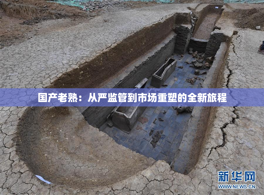 国产老熟：从严监管到市场重塑的全新旅程