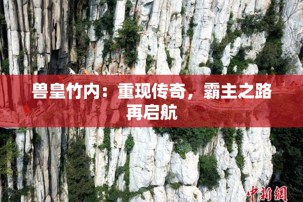 兽皇竹内：重现传奇，霸主之路再启航