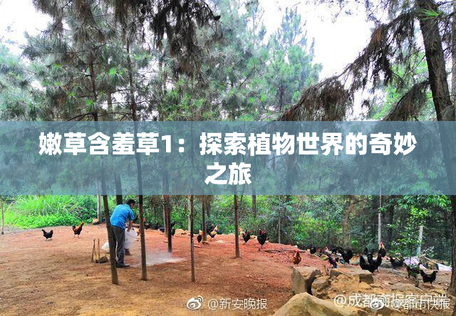 嫩草含羞草1：探索植物世界的奇妙之旅