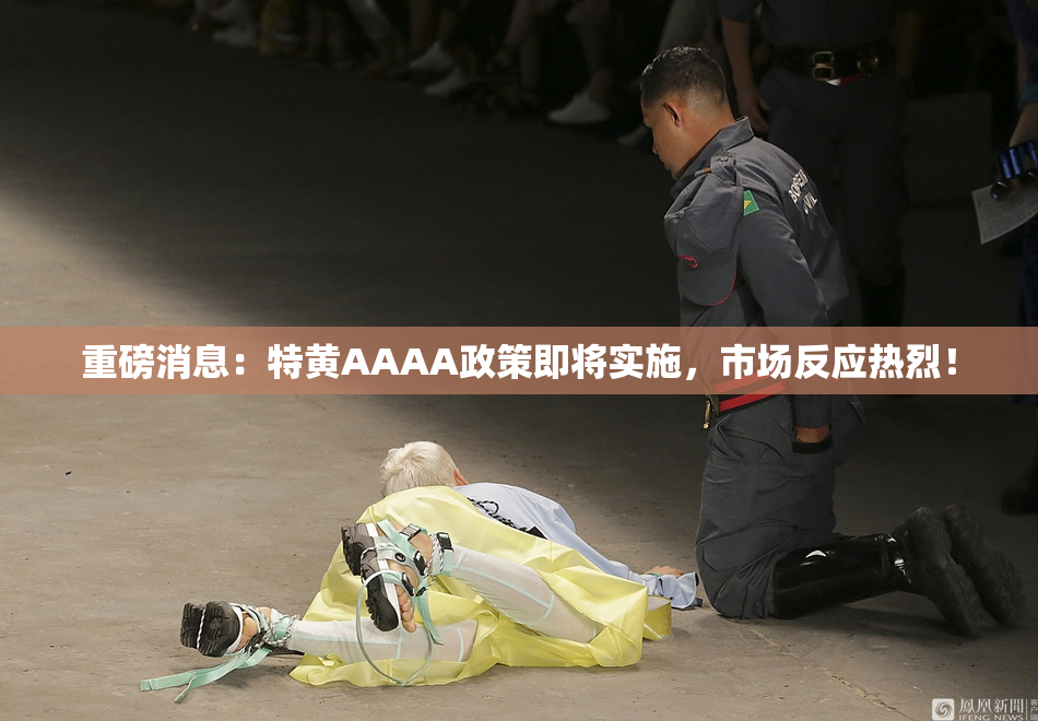 重磅消息：特黄AAAA政策即将实施，市场反应热烈！