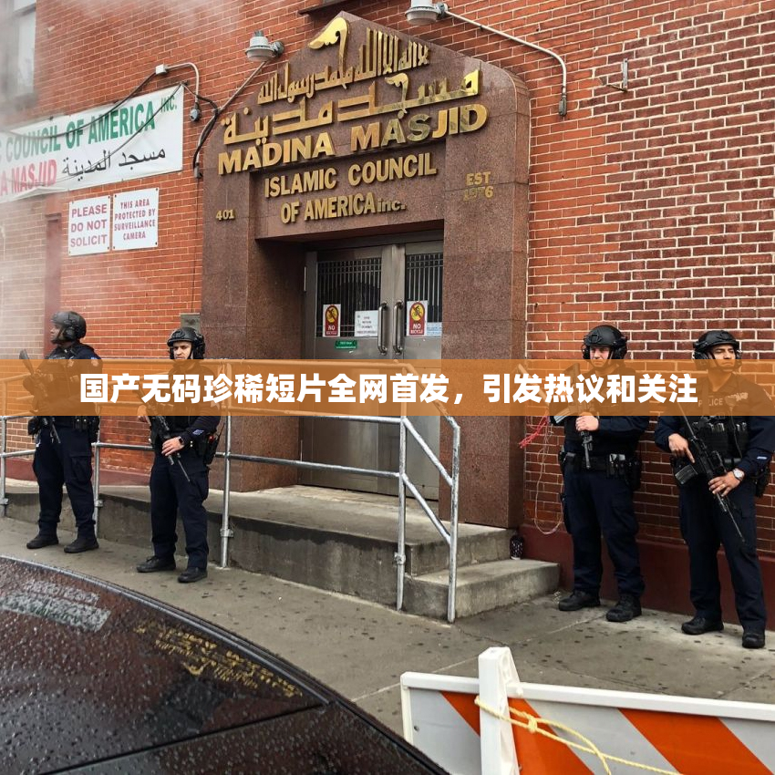 国产无码珍稀短片全网首发，引发热议和关注