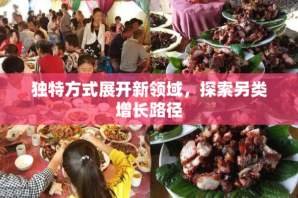 独特方式展开新领域，探索另类增长路径