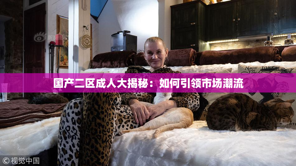 国产二区成人大揭秘：如何引领市场潮流