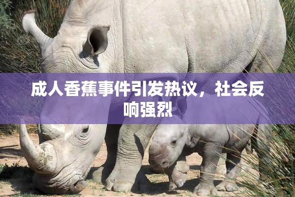 成人香蕉事件引发热议，社会反响强烈