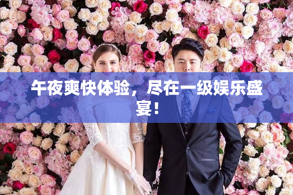 午夜爽快体验，尽在一级娱乐盛宴！
