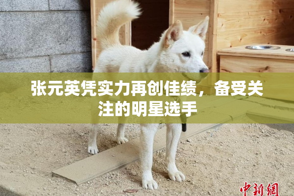 张元英凭实力再创佳绩，备受关注的明星选手