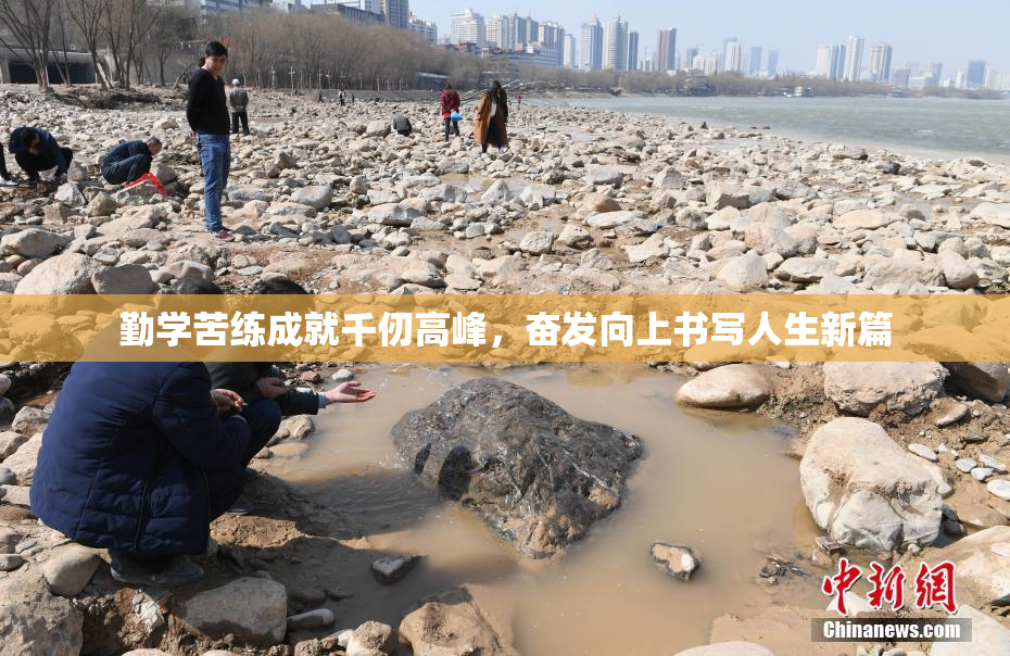 勤学苦练成就千仞高峰，奋发向上书写人生新篇