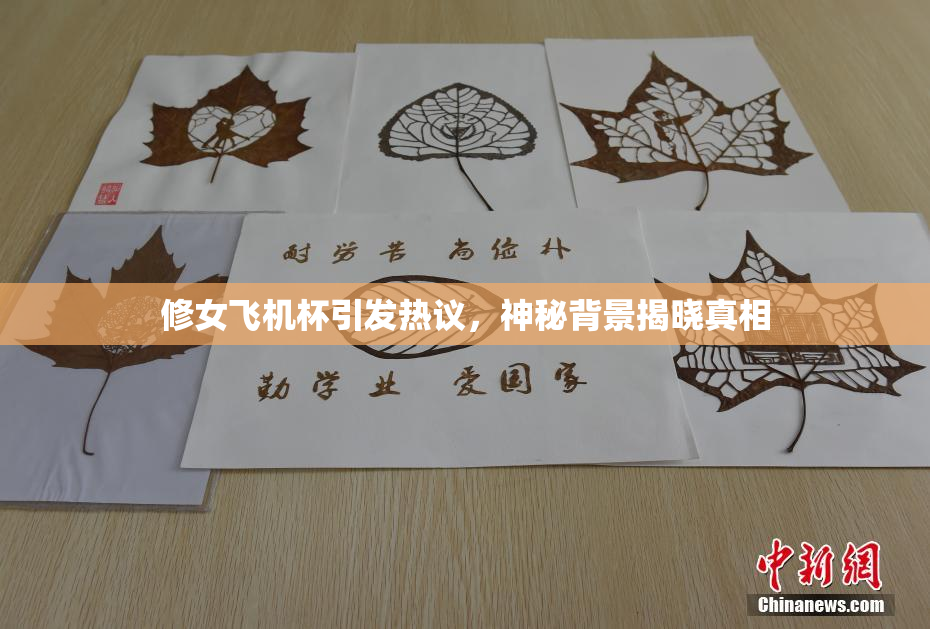 修女飞机杯引发热议，神秘背景揭晓真相