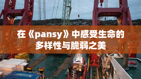 在《pansy》中感受生命的多样性与脆弱之美
