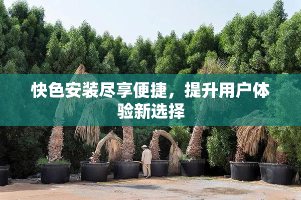 快色安装尽享便捷，提升用户体验新选择