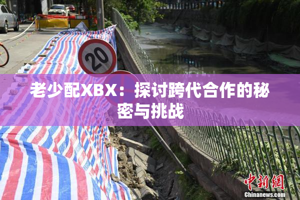 老少配XBX：探讨跨代合作的秘密与挑战