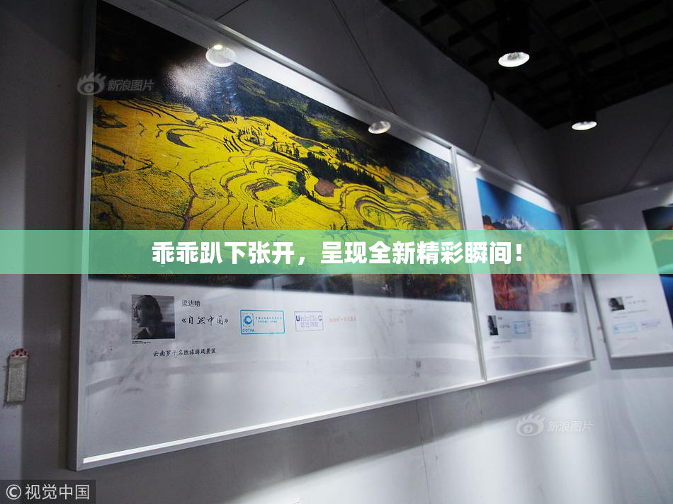 乖乖趴下张开，呈现全新精彩瞬间！