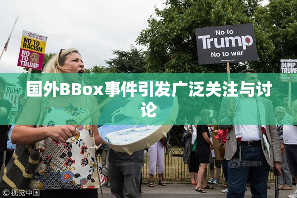 国外BBox事件引发广泛关注与讨论