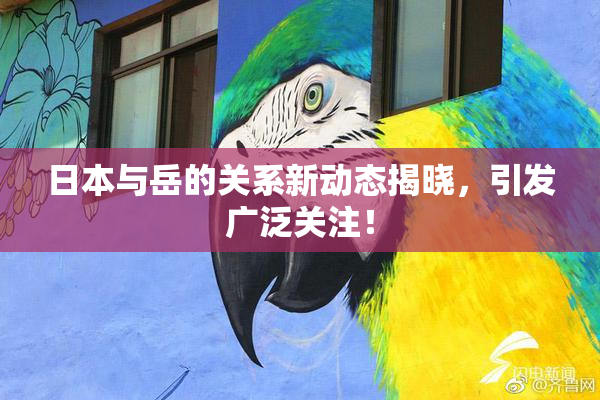 日本与岳的关系新动态揭晓，引发广泛关注！