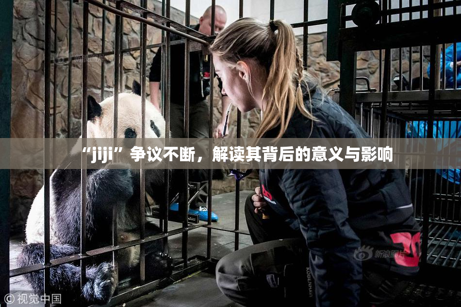 “jiji”争议不断，解读其背后的意义与影响