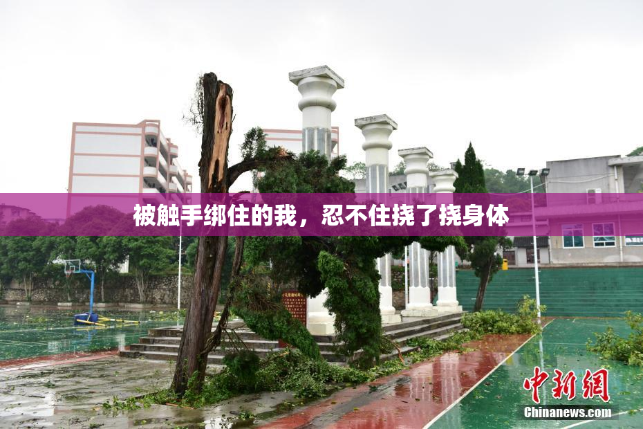 被触手绑住的我，忍不住挠了挠身体