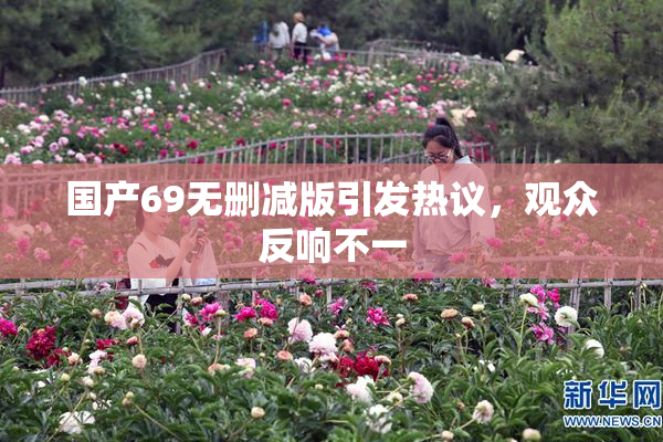 国产69无删减版引发热议，观众反响不一