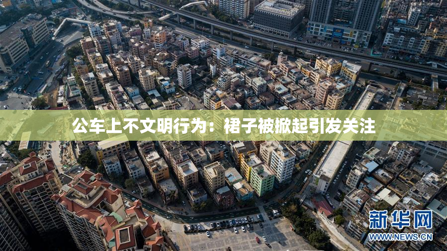 公车上不文明行为：裙子被掀起引发关注