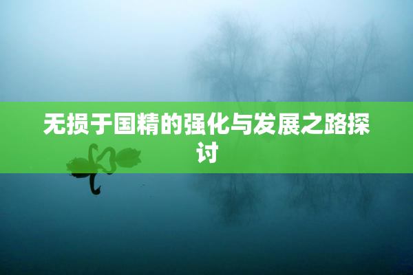 无损于国精的强化与发展之路探讨