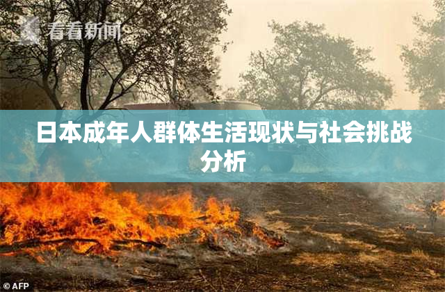 日本成年人群体生活现状与社会挑战分析