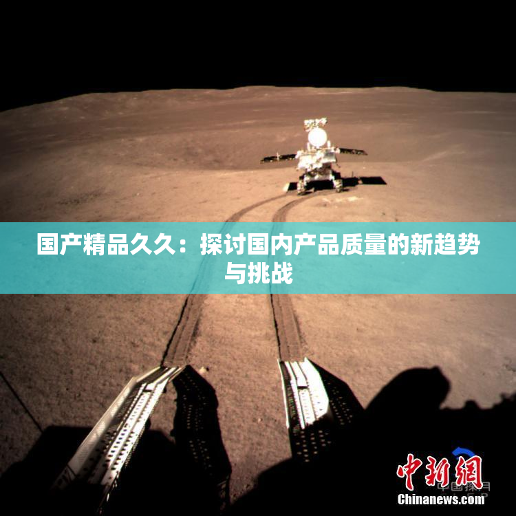 国产精品久久：探讨国内产品质量的新趋势与挑战