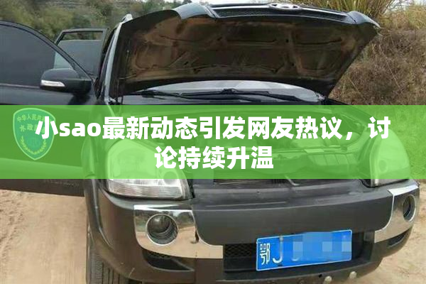 小sao最新动态引发网友热议，讨论持续升温