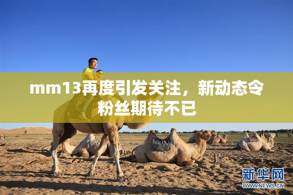 mm13再度引发关注，新动态令粉丝期待不已