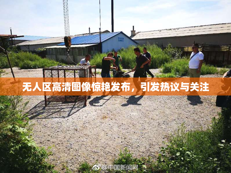 无人区高清图像惊艳发布，引发热议与关注
