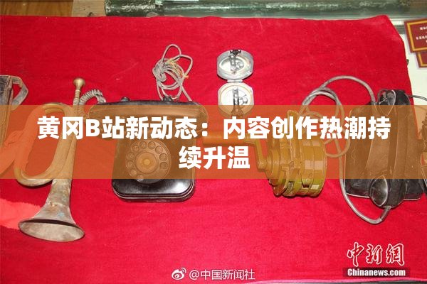 黄冈B站新动态：内容创作热潮持续升温