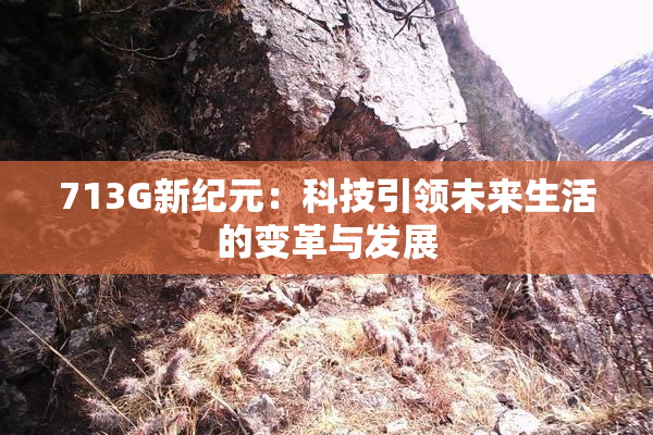 713G新纪元：科技引领未来生活的变革与发展